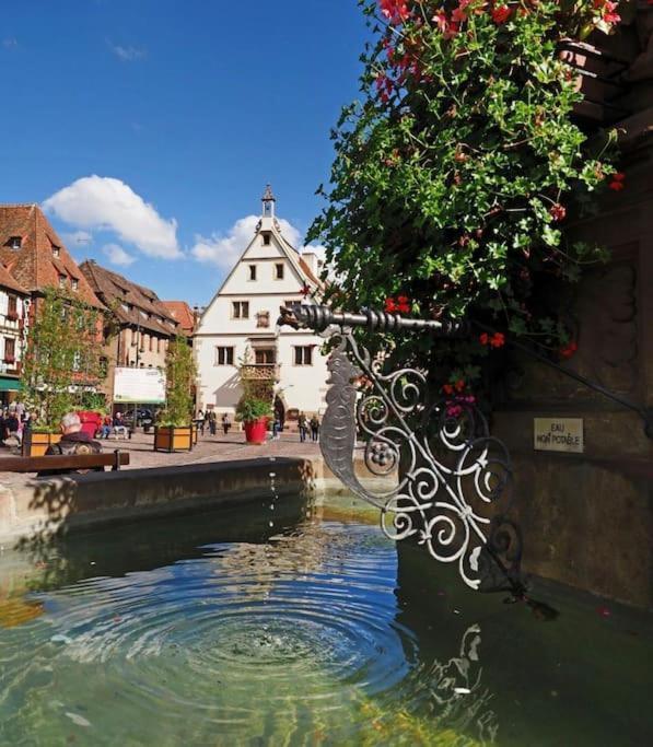Appartement L'Appar'T - Centre Historique De Obernai Extérieur photo